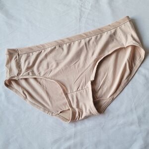 Neutral Tone Hanes Bikini Panty
